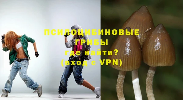 скорость Ельня