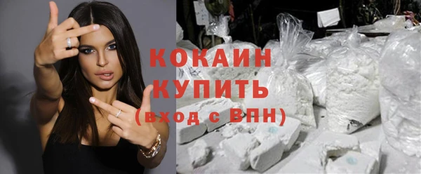 гидра Елабуга