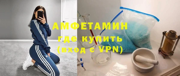 гидра Елабуга