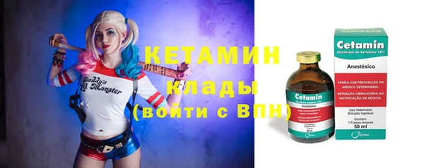 скорость Ельня