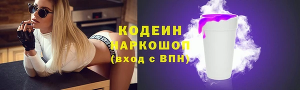 скорость Ельня
