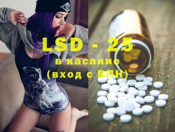 гидра Елабуга