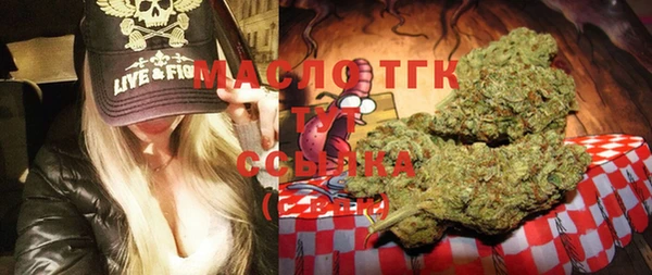 скорость Ельня