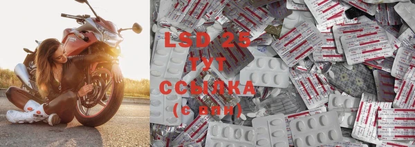скорость Ельня