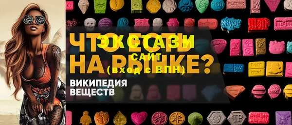 скорость Ельня