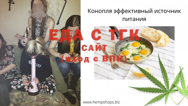 гидра Елабуга