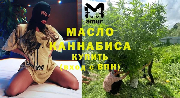 скорость Ельня