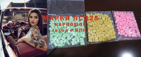 гидра Елабуга