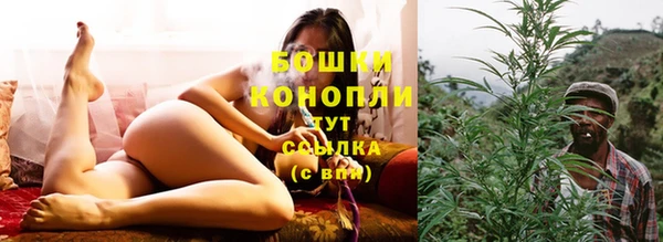 гидра Елабуга