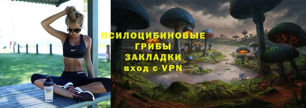 скорость Ельня