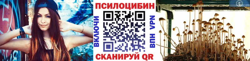Купить  Калтан  Галлюциногенные грибы Psilocybine cubensis 